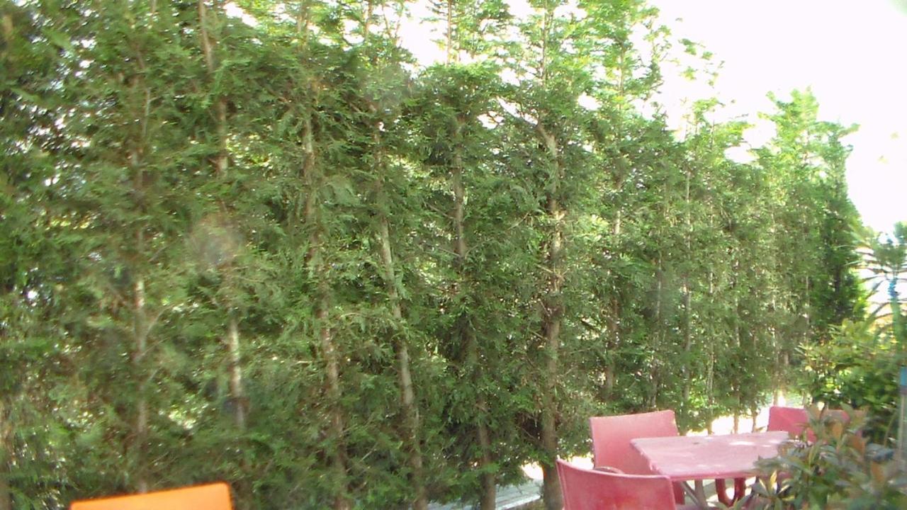 Shkoder Hotel Temali Buitenkant foto